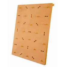 Tuile pour végétalisation murale | Varrape