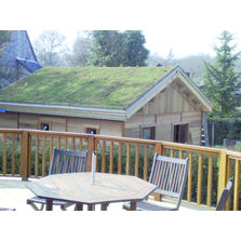 Tapis végétalisé pour toiture en pente jusqu'à 35° | Jade