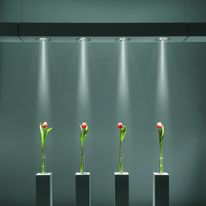 Suspensions pour éclairage général ou d'accentuation | Hiline System