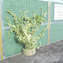 Clôture isolée en panneaux préfabriqués | Fermisol