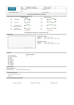 Portails et portillons battants en acier, manuels ou automatisés, pour un usage résidentiel | Practis battant 