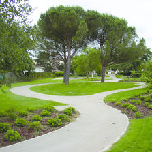 Liant végétal pour aménagements extérieurs décoratifs | Végéclair