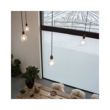 Tissus adhésifs pour vitrage | Squid Rock 