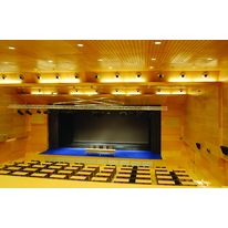 Panneaux acoustiques perforés plaqués bois | ACT