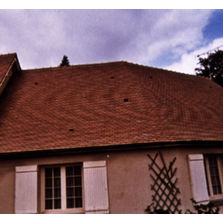 Produit préventif-curatif contre les mousses et lichens | Dimousse Plus