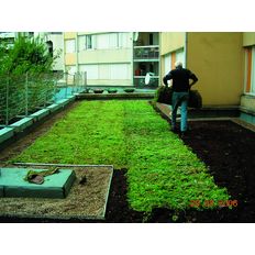 Tapis de végétalisation pour toiture-terrasse | Vegetorpin