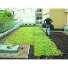 Tapis de végétalisation pour toiture-terrasse | Vegetorpin