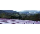 Panneau isolant pour toitures chaudes | Batithane T HI-PIR CT