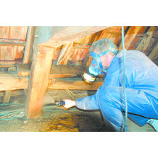 Traitement insecticide et fongicide des structures bois | Xylbell 3000