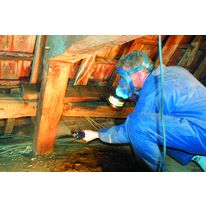 Traitement insecticide et fongicide des structures bois | Xylbell 3000