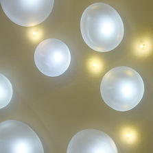 Nature Harmonieuse - Nucléoles