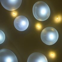 Nature Harmonieuse - Nucléoles