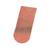 Tuile plate en terre cuite | PLATE 16X38 Doyet