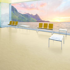 Sol caoutchouc U4P3 à motifs inspirés de la nature | Noraplan Valua