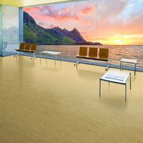 Sol caoutchouc U4P3 à motifs inspirés de la nature | Noraplan Valua