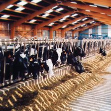 Béton pour ouvrages agricoles en milieu agressif | EB Agricole