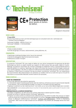 Protection aspect mouillé pour pavés et dalles | Protection CE+