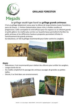 Grillage soudé type lourd pour la clôture de longs linéaires | MEGADIS