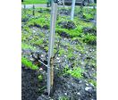Marquant en PVC recyclé pour plants de vigne | Marquant Vigne