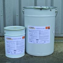 Traitement curatif insecticide professionnel des charpentes | CORIPHENE GEL Pro +