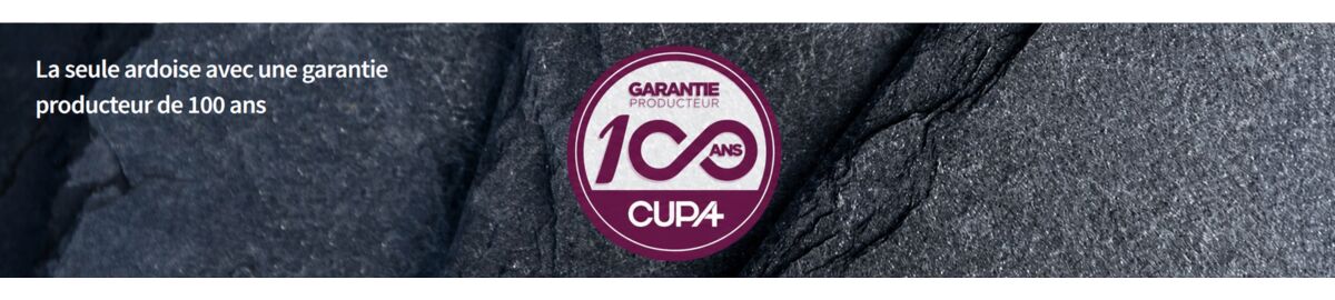 CUPA PIZARRAS