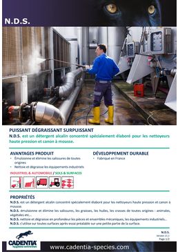 Puissant dégraissant surpuissant | CADENTIA N.D.S.