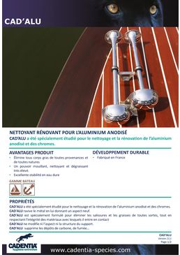 Nettoyant rénovant pour l’aluminium anodisé | CADENTIA CAD’ALU