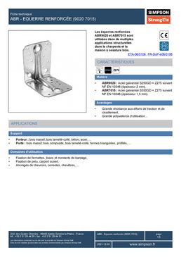 Équerre renforcée en acier galvanisé pour charpentes et ossatures bois | ABR9020