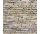 Parement de brique aspect vieilli | Briques OLD SCHOOL 