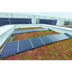 Toiture végétalisée hydroactive avec panneaux PV et gestion des EP | Oasis Bio Solar
