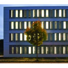 Panneau fin en mousse d'aluminium ajourée pour protection solaire | 