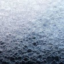 Antimousse pour sols et surfaces | CADENTIA ANTIMOUSSE