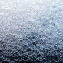 Antimousse pour sols et surfaces | CADENTIA ANTIMOUSSE