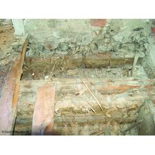 Fongicide antimérule pour murs et fondations | Cecil Pro TX MR