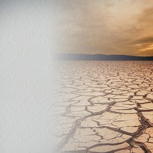 Revêtements en verre tissé aux motifs fascinants | SYSTEXX Phantasy