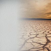 Revêtements en verre tissé aux motifs fascinants | SYSTEXX Phantasy