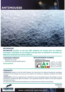 Antimousse pour sols et surfaces | CADENTIA ANTIMOUSSE