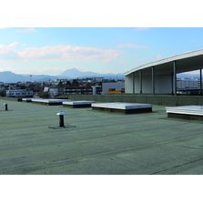 Membrane d'étanchéité neutralisant le CO2 en toiture plate | Derbicolor FR Olivine