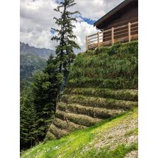 Remblai renforcé parement végétal | Terramesh vert