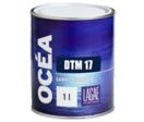 Peinture laque 2 en 1 directe sur tout métal - Lurie Ocea DTM 17