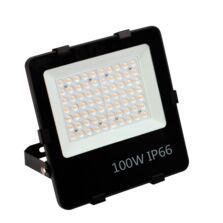Projecteur LED extérieur | FL2 Series STG-100W-230V-SS-4KF2 100 W