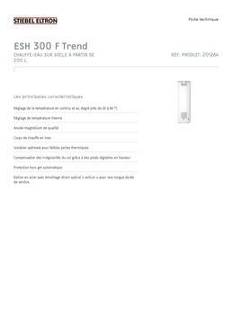 Chauffe-eau électrique | ESH 50-300 W/H/F Premium