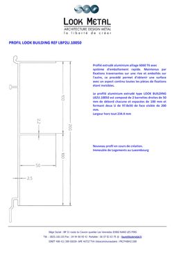 Profilé peigne extrudé aluminium alliage 6060 T6 | PROFIL LOOK BUILDING REF LBP2U.10050