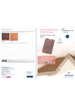 PLATE TRADITION 17X27 Phalempin