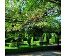 Pergola classique en acier pour plantes grimpantes | Pergola