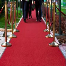 Tapis d'entrée 185 Essence