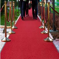 Tapis d'entrée 185 Essence