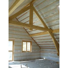 Pare-vapeur translucide armé | Delta-Fol DBF