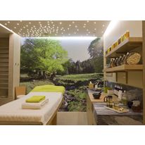 Plafond étoilé petit modèle 