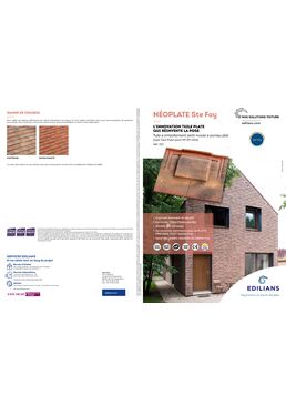 Tuile plate en terre cuite | NÉOPLATE Ste Foy